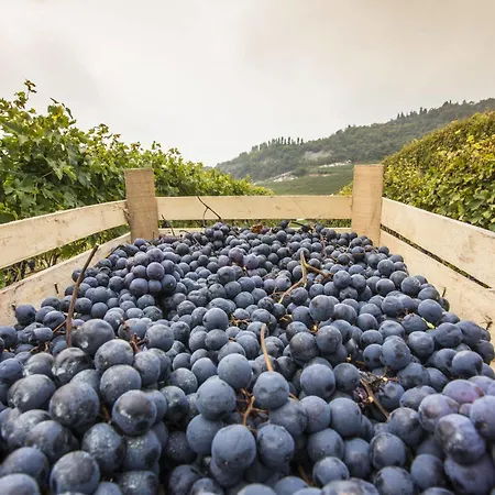 Alojamento de Acomodação e Pequeno-almoço Boutique Osteria Della Pieve