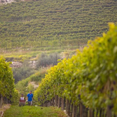 Boutique Osteria Della Pieve 3* SantʼAmbrogio di Valpolicella