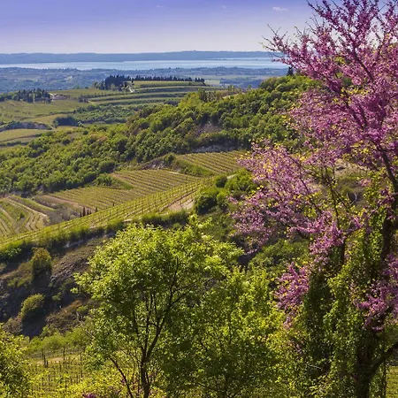 Boutique Osteria Della Pieve Bed & Breakfast SantʼAmbrogio di Valpolicella